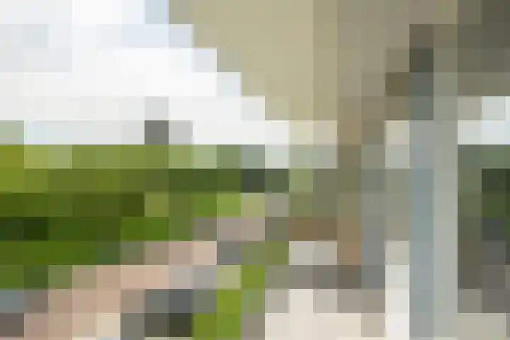 Lachappellestraat 67 B Breda thumbnail 31