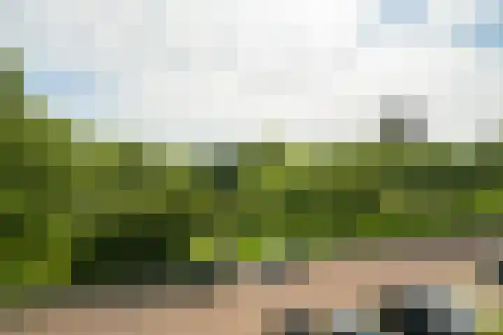 Lachappellestraat 67 B Breda thumbnail 32