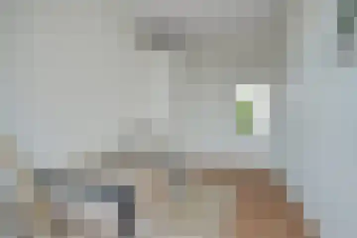 Lachappellestraat 67 B Breda thumbnail 34