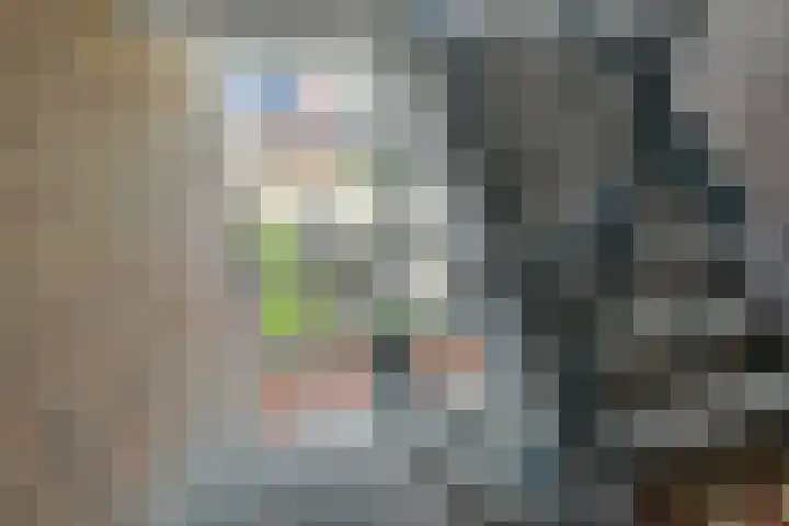 Lachappellestraat 67 B Breda thumbnail 38