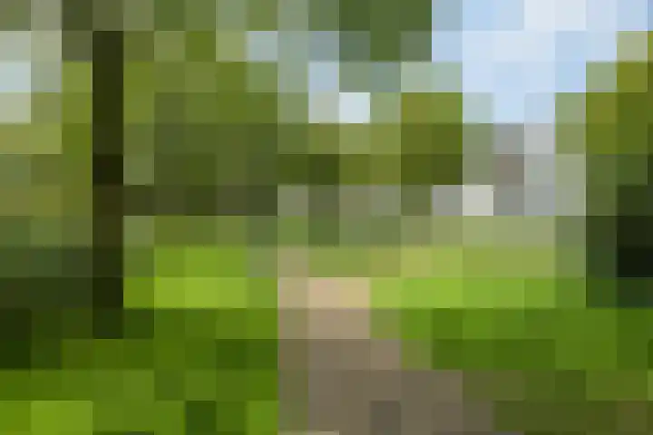 Lachappellestraat 67 B Breda thumbnail 45