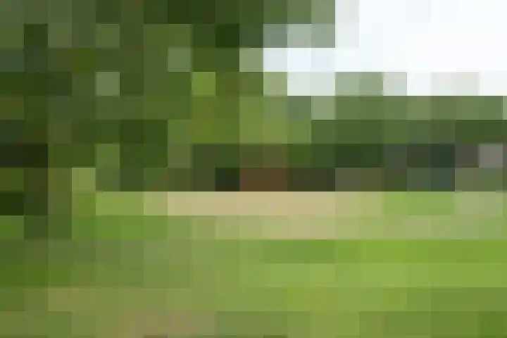 Lachappellestraat 67 B Breda thumbnail 46