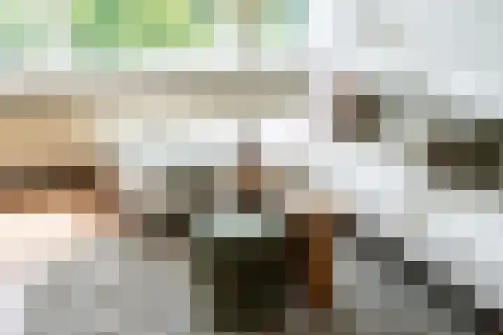 Lachappellestraat 67 B Breda thumbnail 9