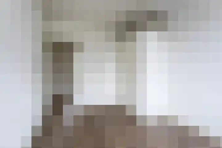 Lachappellestraat 69 Breda thumbnail 13