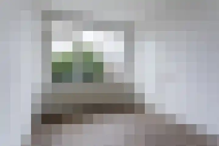 Lachappellestraat 69 Breda thumbnail 17