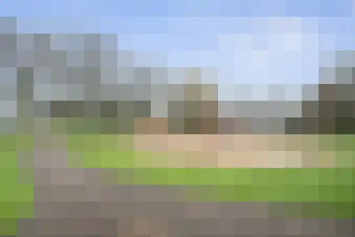 Lachappellestraat 69 Breda thumbnail 23