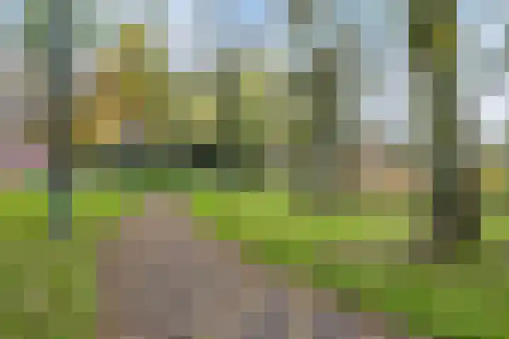 Lachappellestraat 69 Breda thumbnail 25