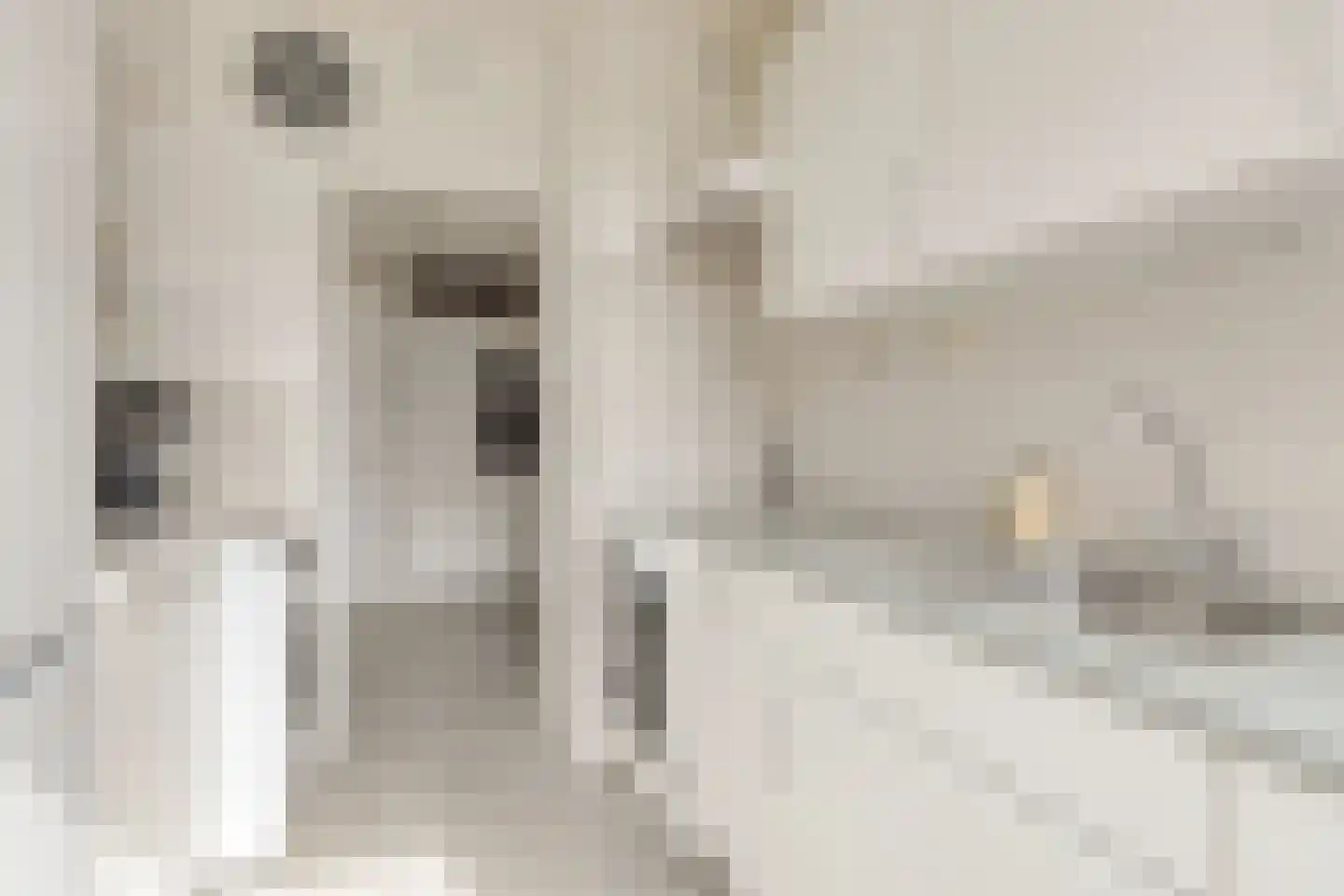 Lachappellestraat 75 C Breda thumbnail 11