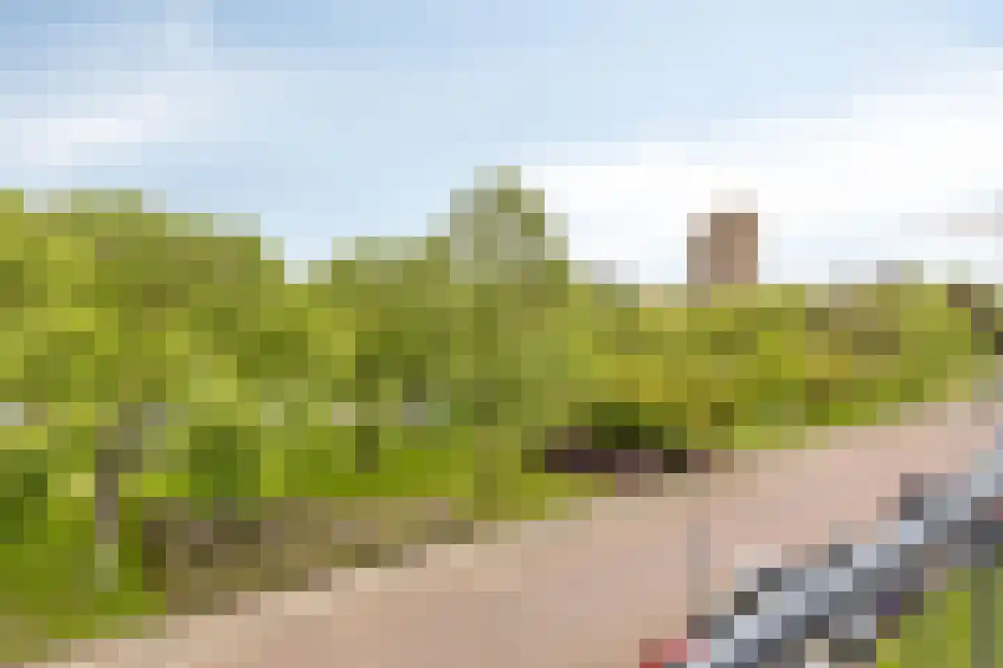 Lachappellestraat 75 C Breda thumbnail 25