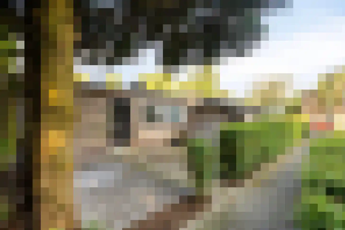 Lacombléstraat 28 Arnhem thumbnail 8
