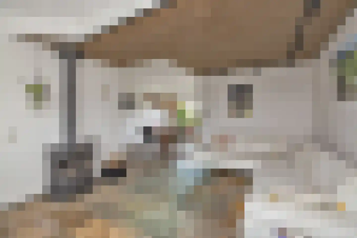 Lacon 29 Urk thumbnail 17