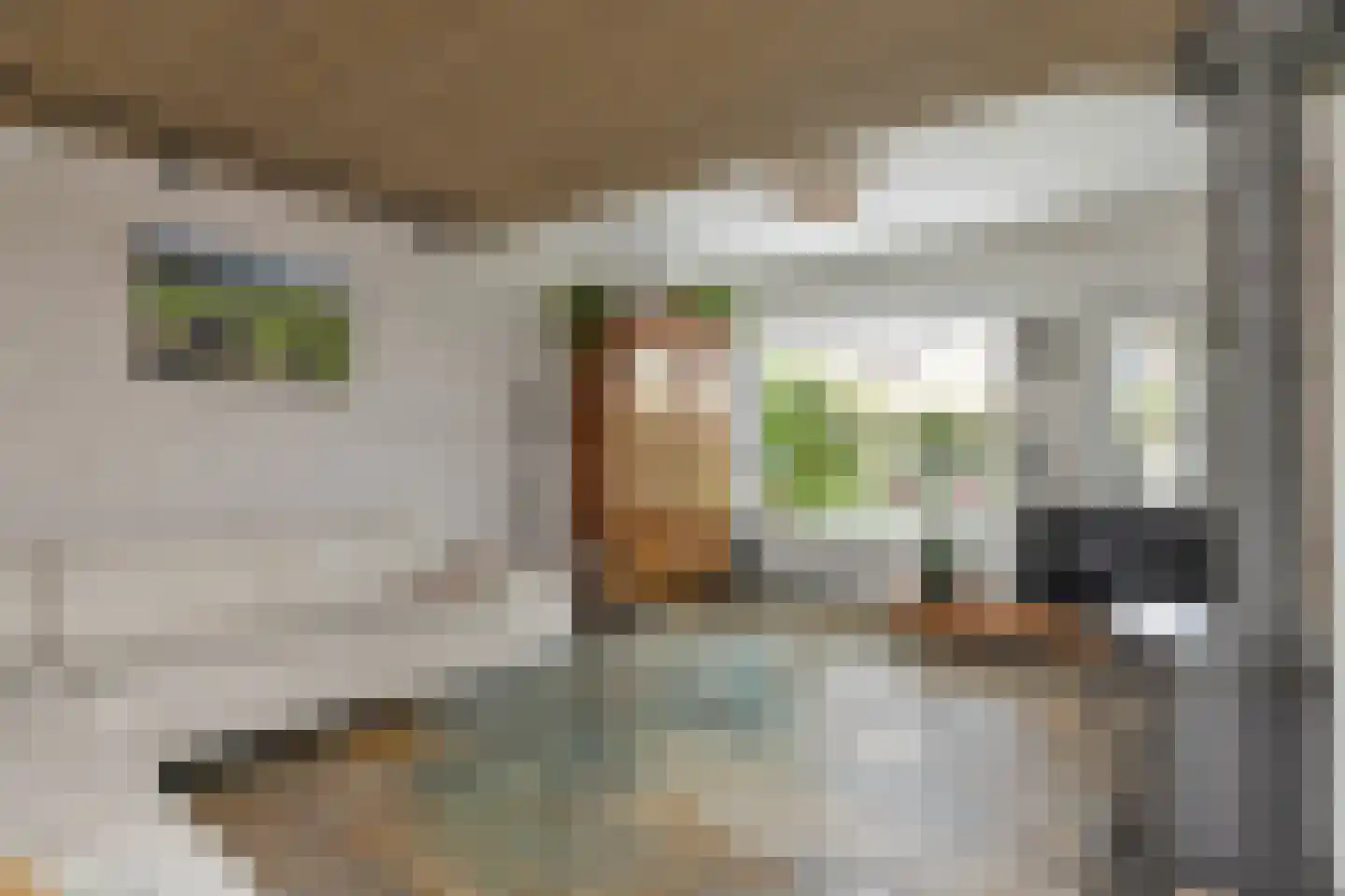 Lacon 29 Urk thumbnail 21