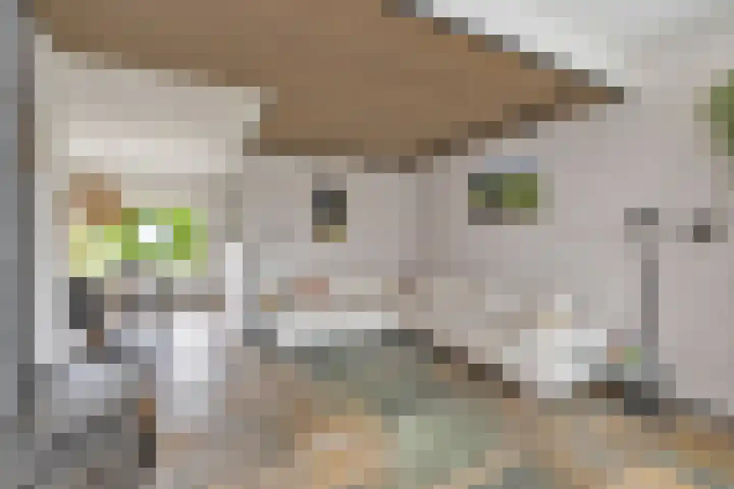 Lacon 29 Urk thumbnail 22