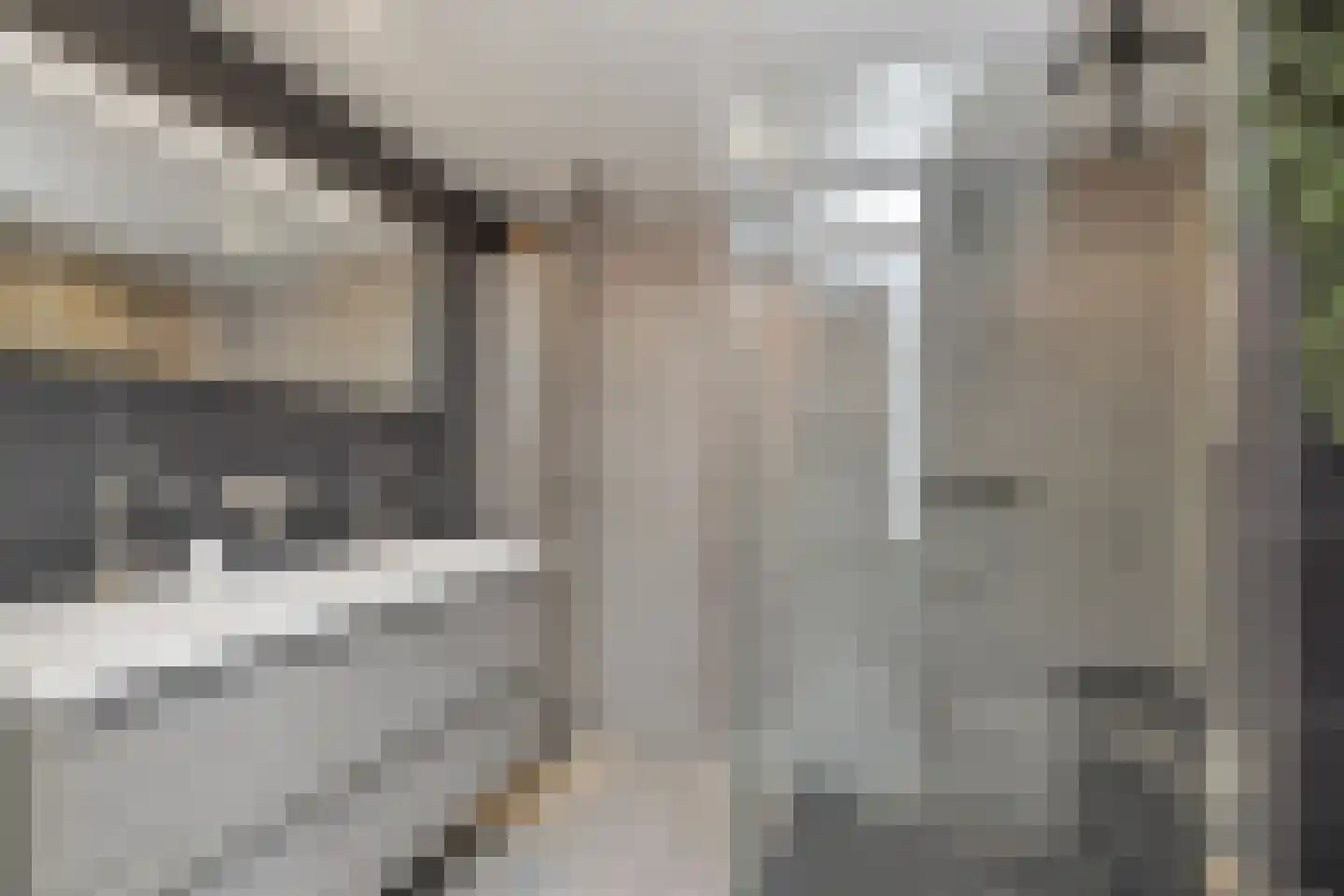 Lacon 29 Urk thumbnail 53