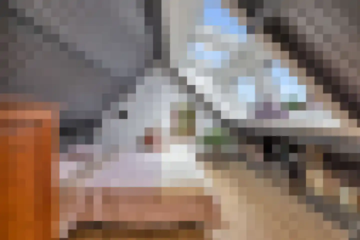 Lacon 29 Urk thumbnail 58