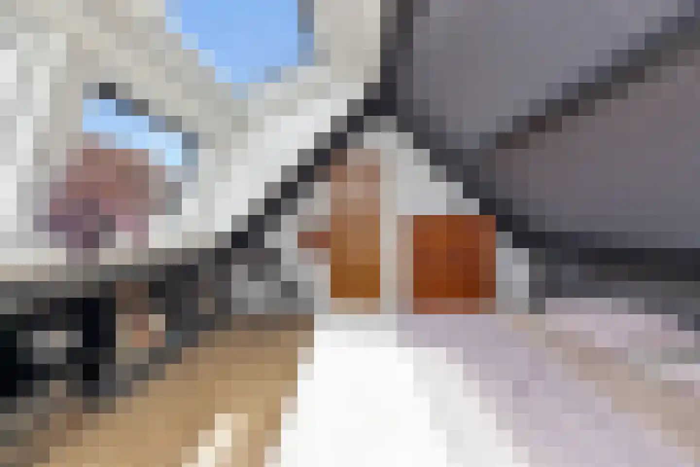 Lacon 29 Urk thumbnail 59
