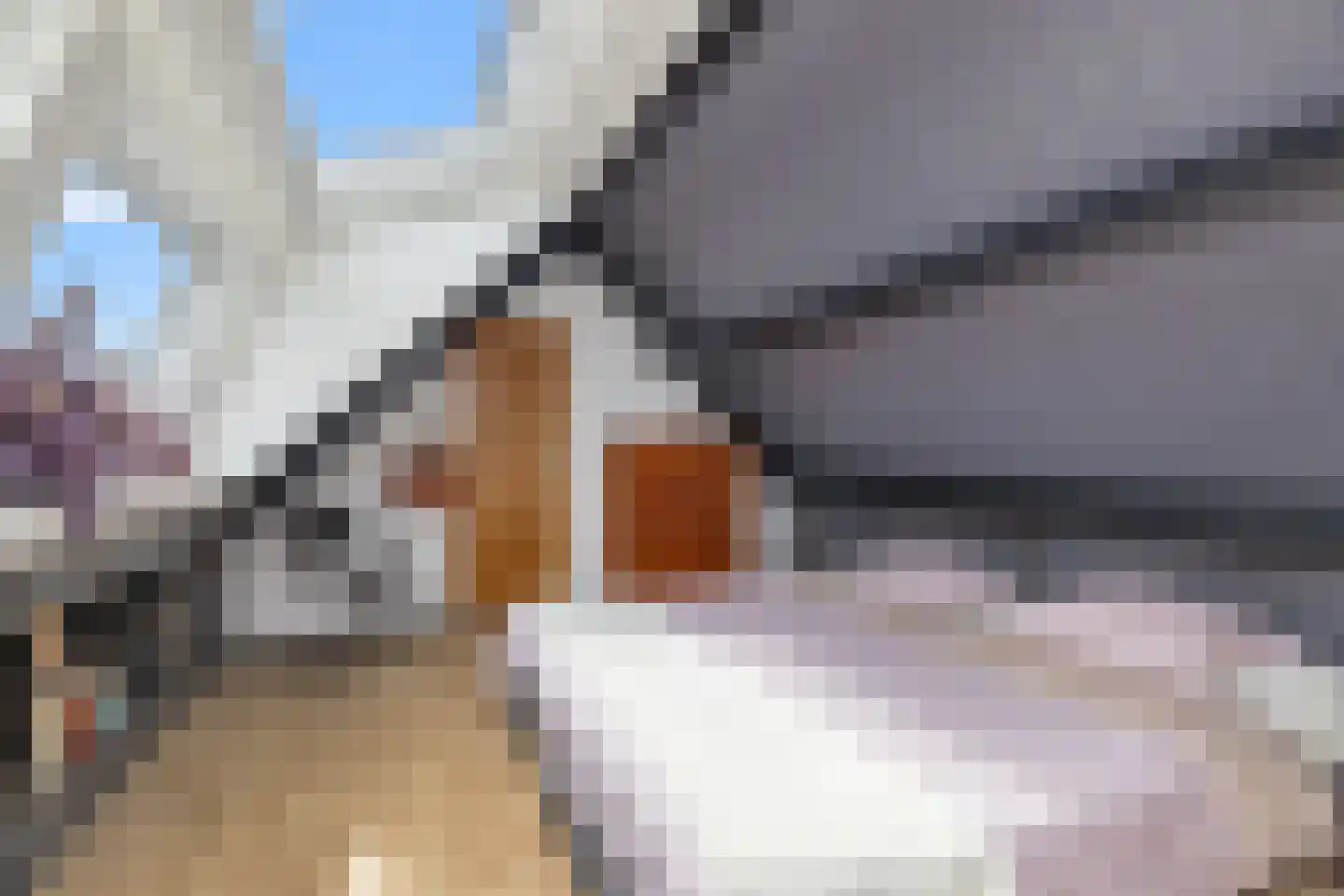 Lacon 29 Urk thumbnail 61