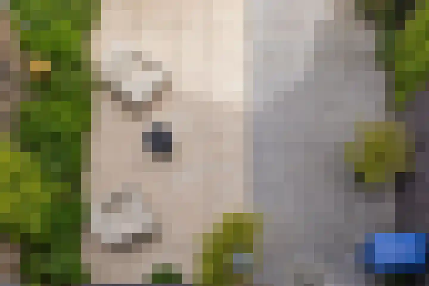 Lacon 29 Urk thumbnail 66