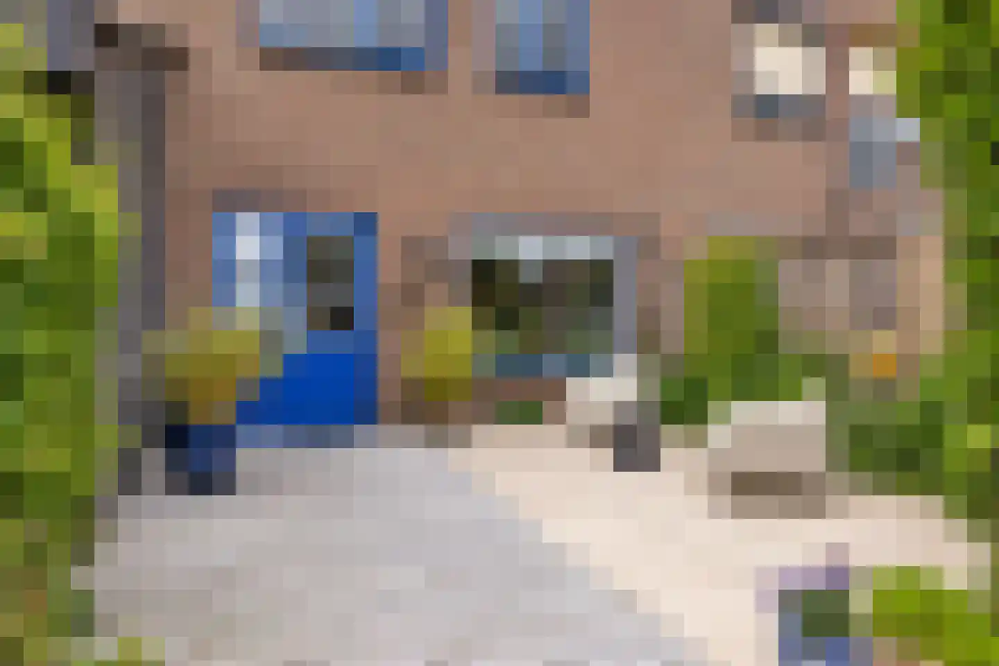 Lacon 29 Urk thumbnail 69