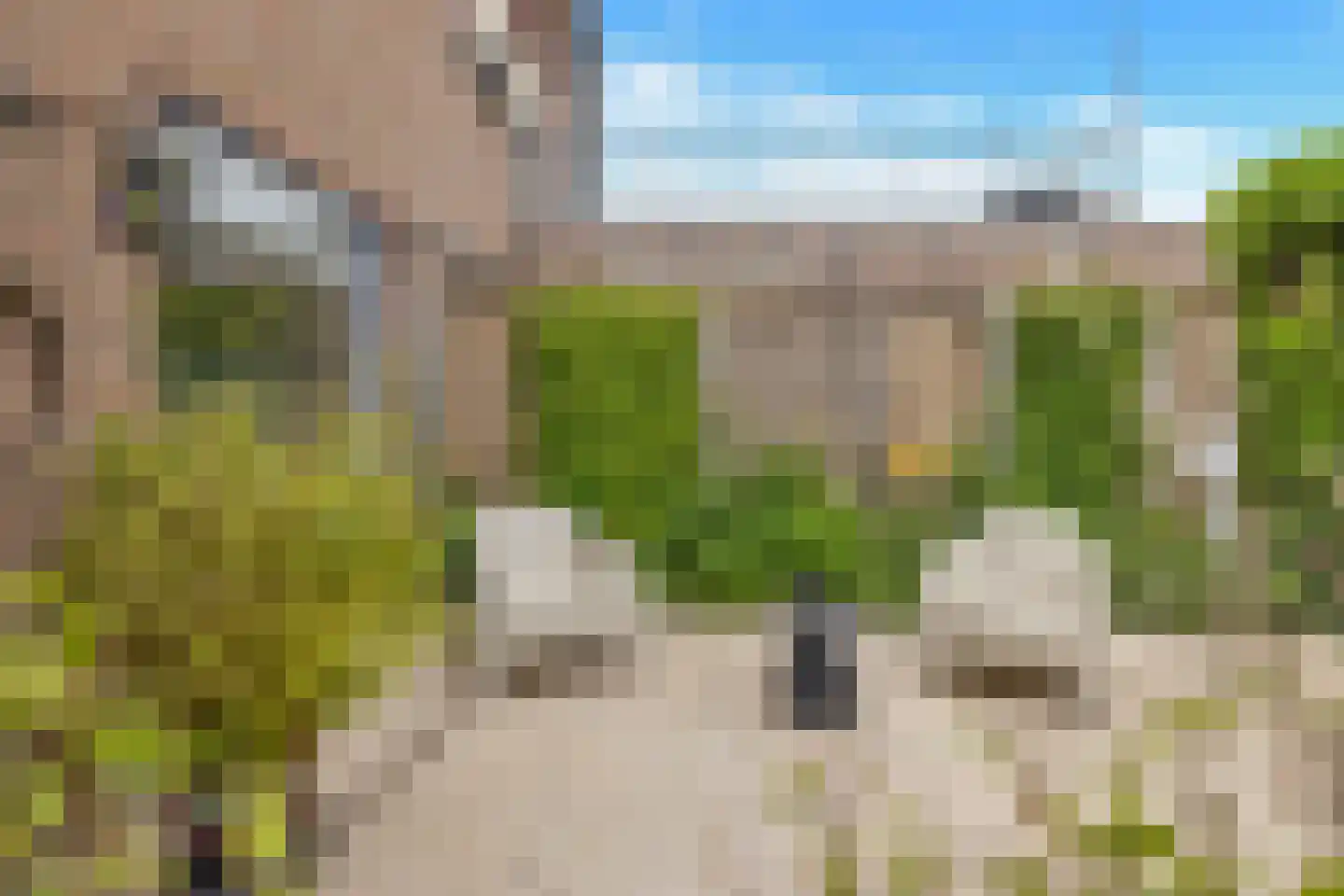 Lacon 29 Urk thumbnail 71