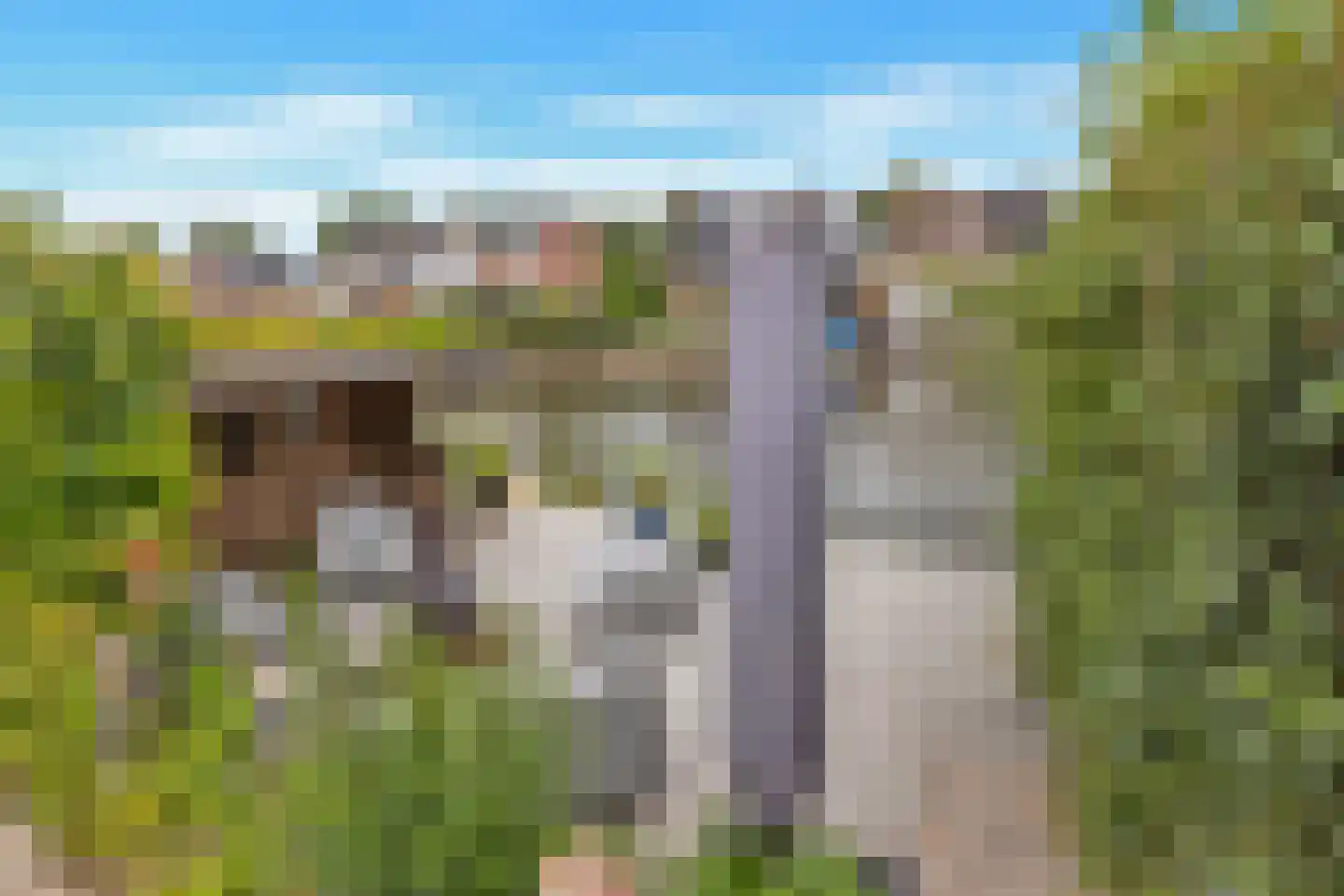 Lacon 29 Urk thumbnail 73