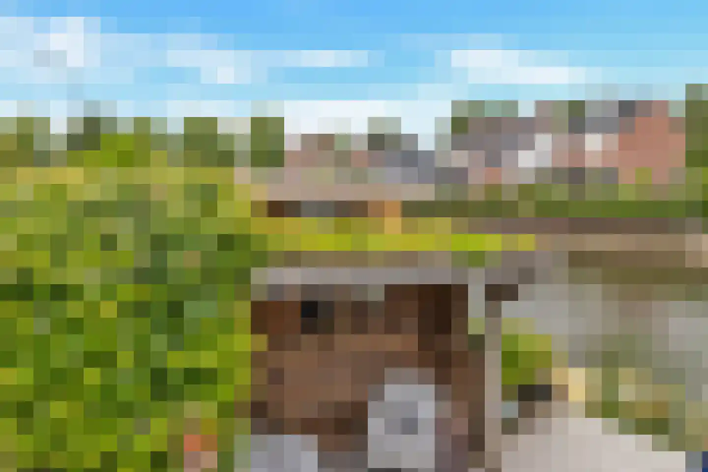 Lacon 29 Urk thumbnail 74