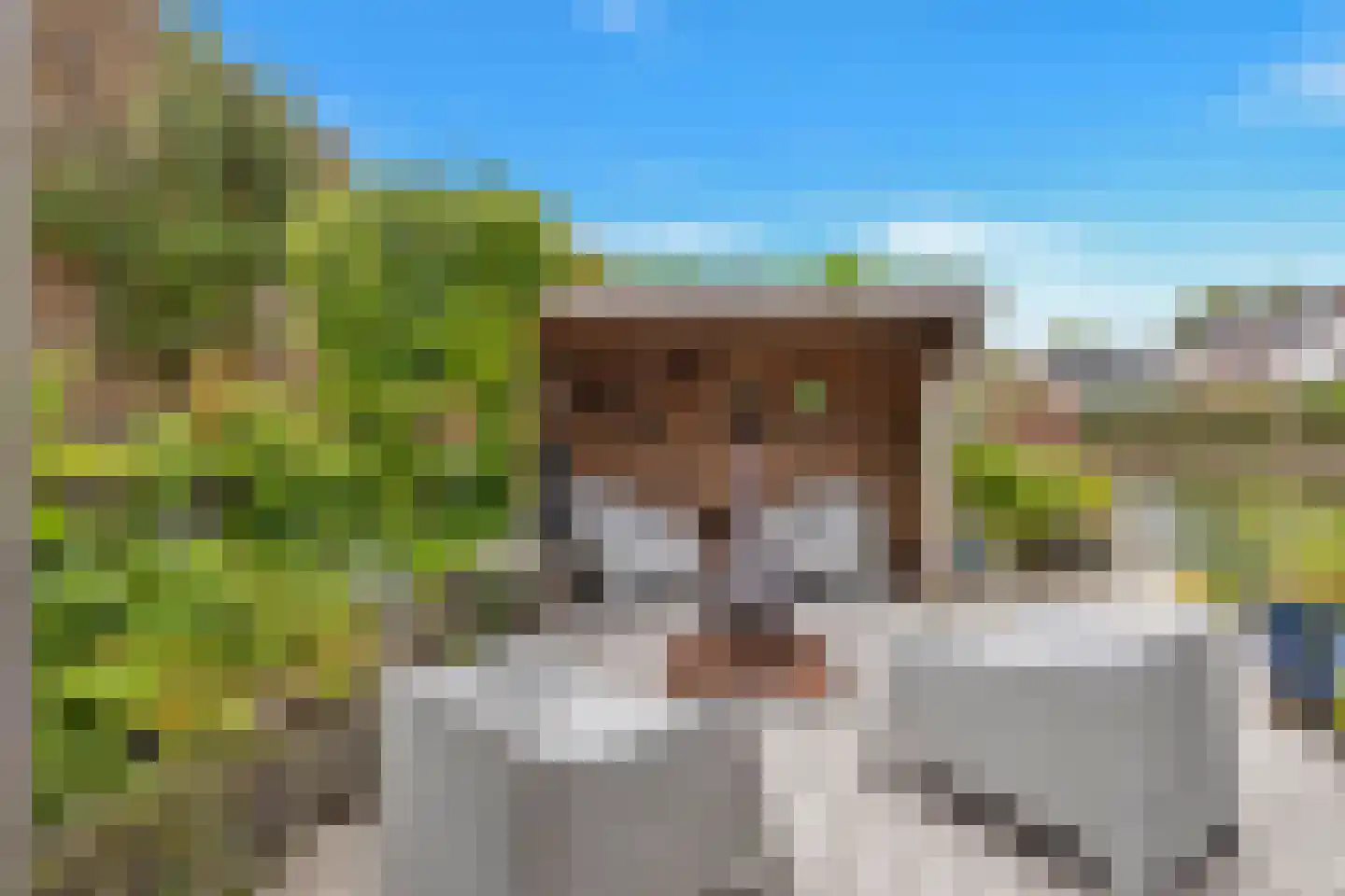 Lacon 29 Urk thumbnail 75