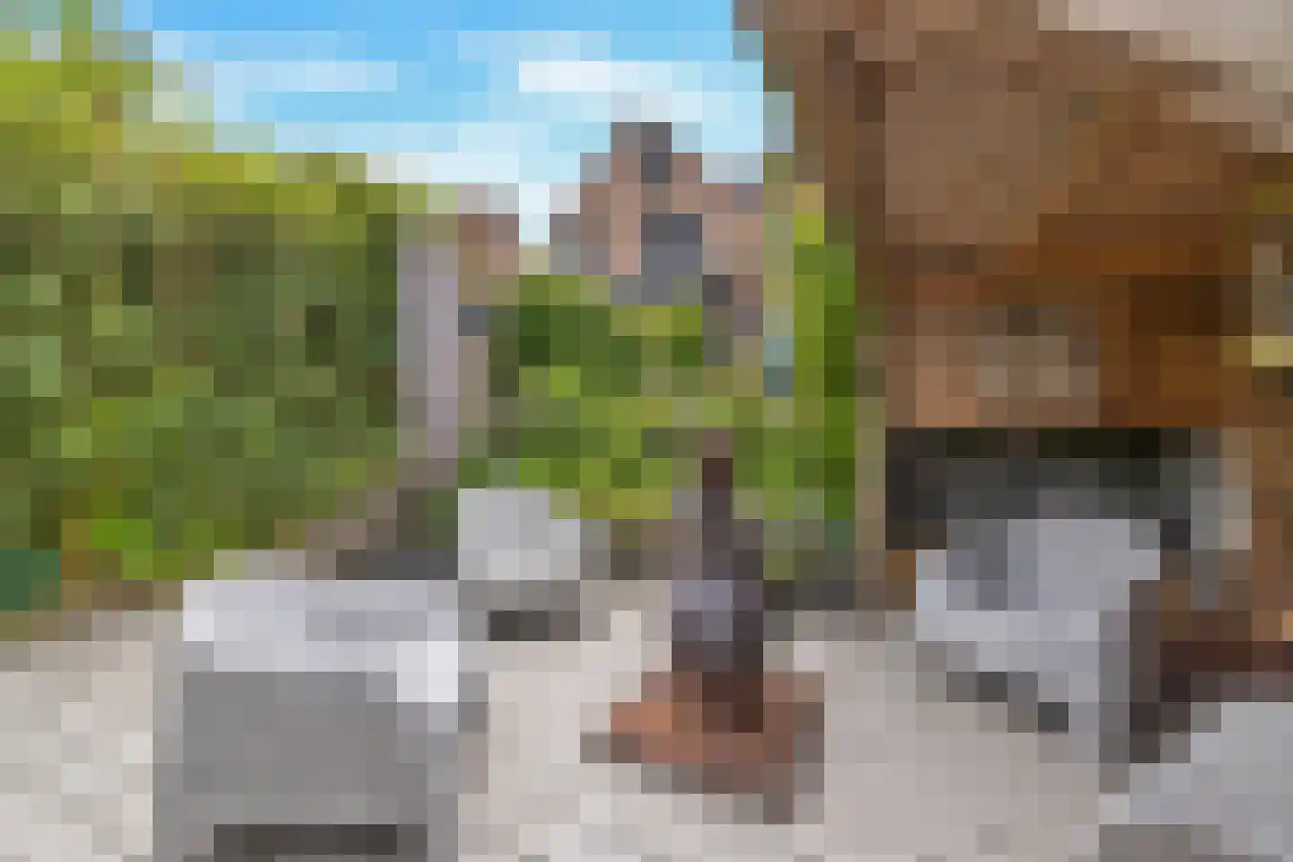 Lacon 29 Urk thumbnail 76