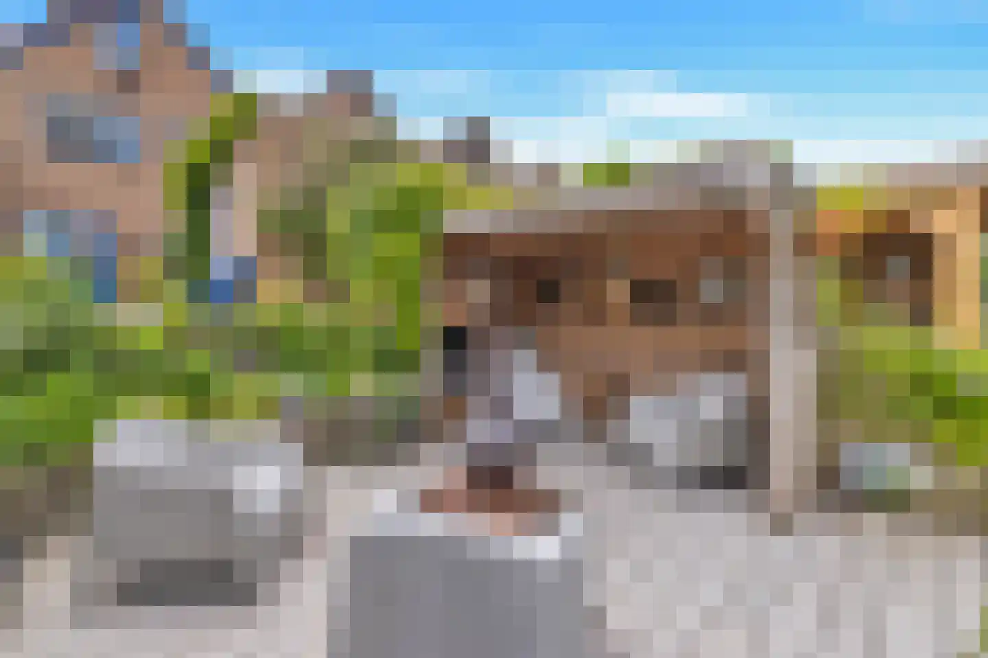 Lacon 29 Urk thumbnail 79