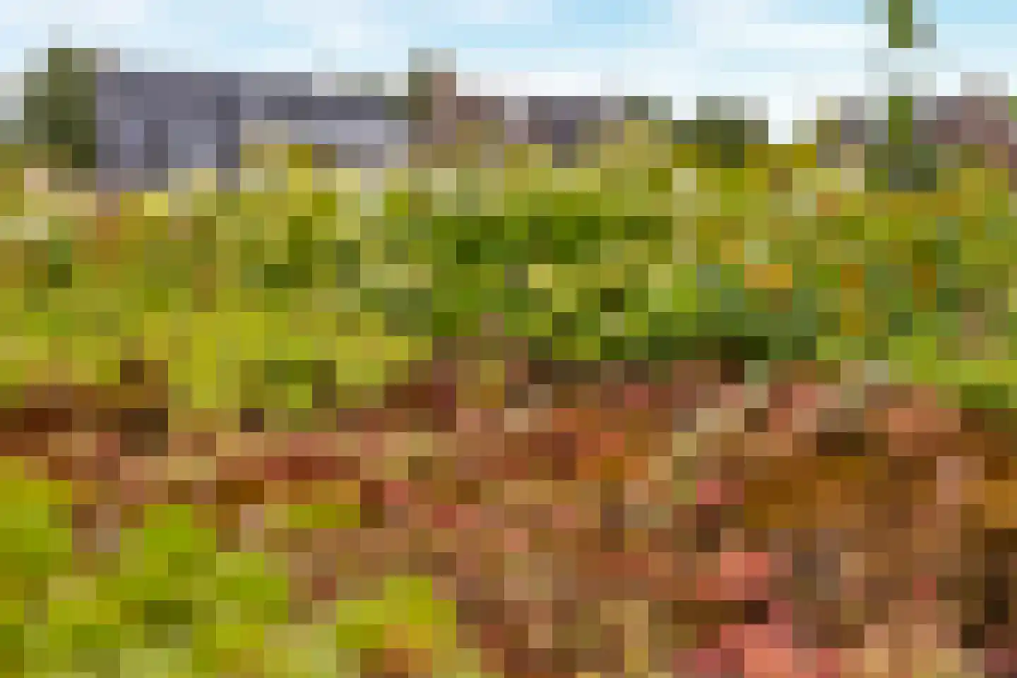 Lacon 29 Urk thumbnail 82