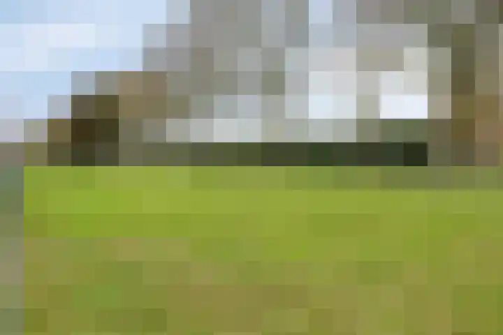 Lactariaweg 30 Stevensbeek thumbnail 10