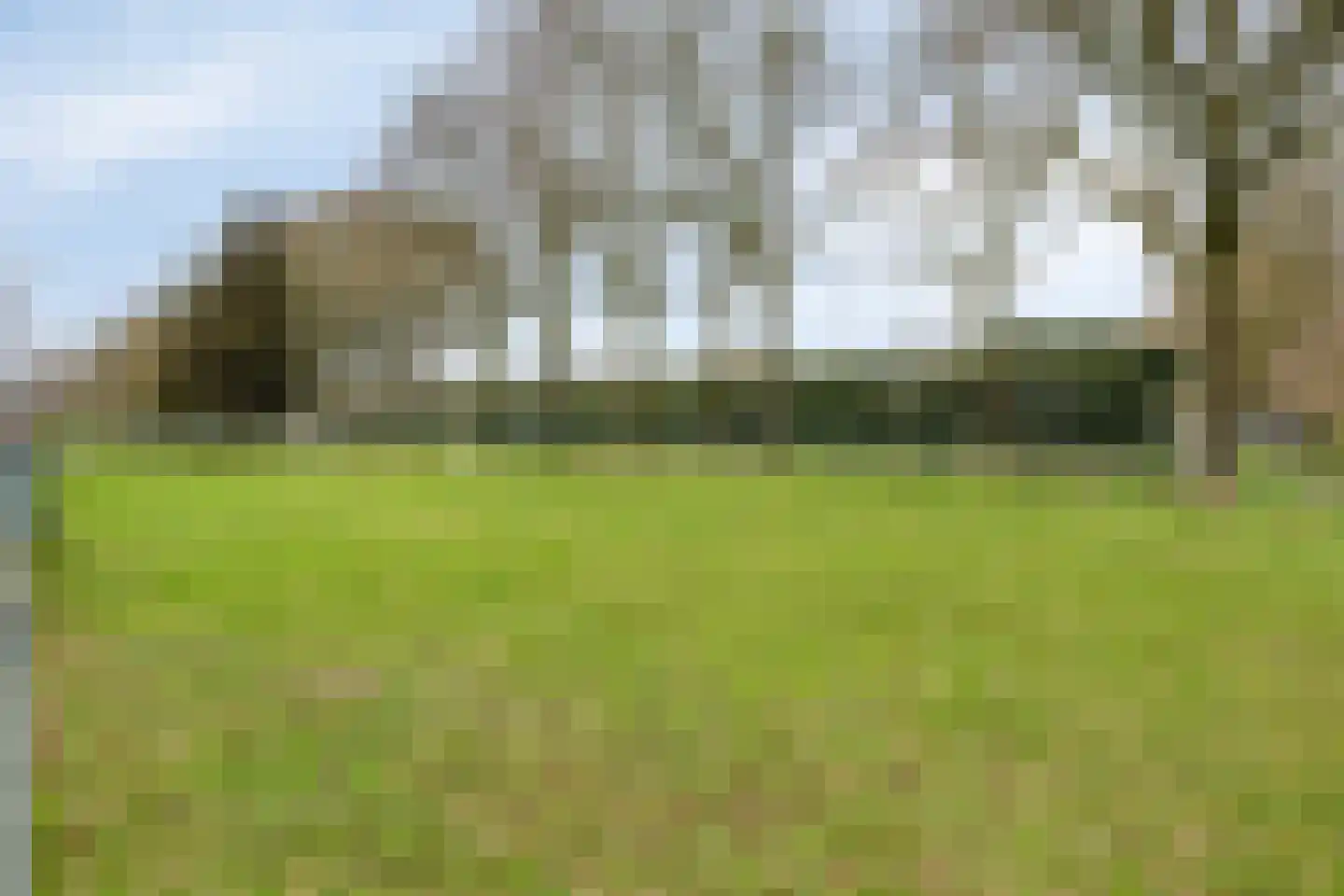 Lactariaweg 30 Stevensbeek thumbnail 10