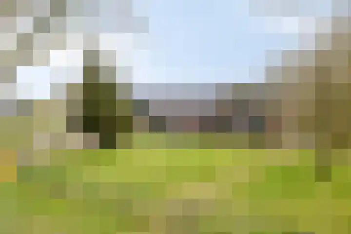 Lactariaweg 30 Stevensbeek thumbnail 12