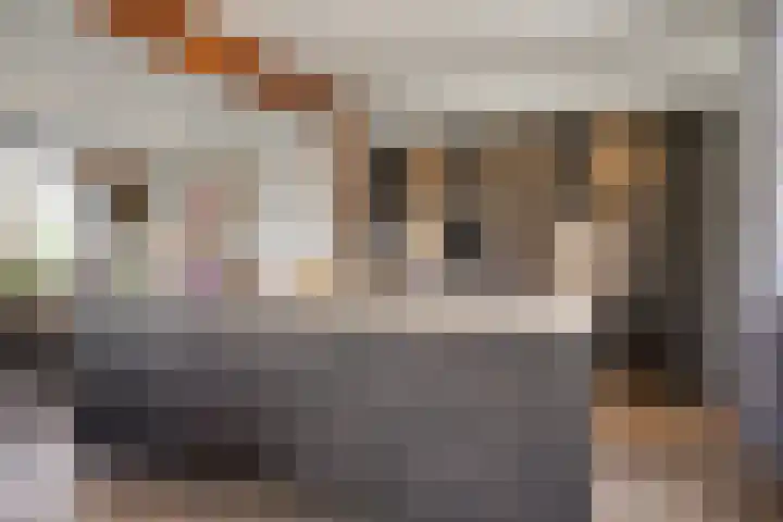 Lactariaweg 30 Stevensbeek thumbnail 18