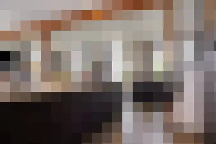 Lactariaweg 30 Stevensbeek thumbnail 20