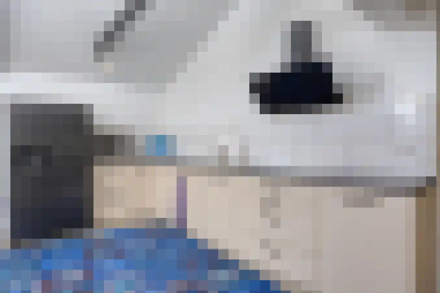 Lactariaweg 30 Stevensbeek thumbnail 27