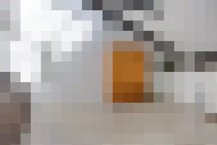 Lactariaweg 30 Stevensbeek thumbnail 30
