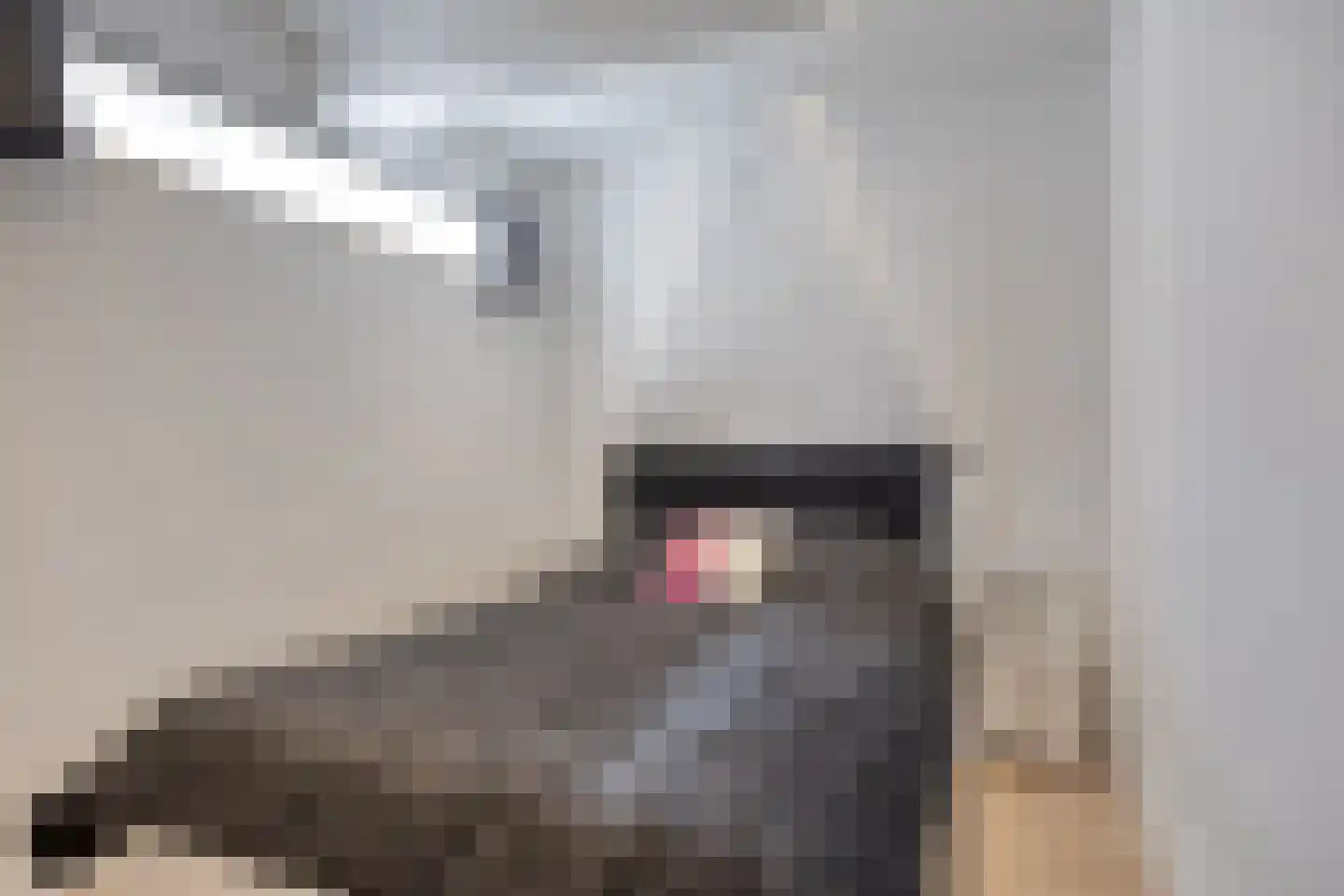 Lactariaweg 30 Stevensbeek thumbnail 33