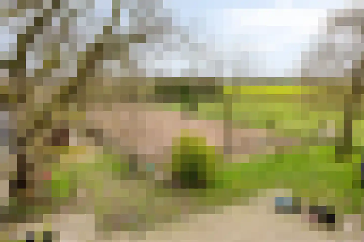 Lactariaweg 30 Stevensbeek thumbnail 5