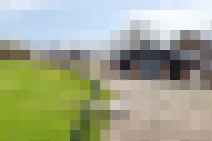 Lactariaweg 30 Stevensbeek thumbnail 57