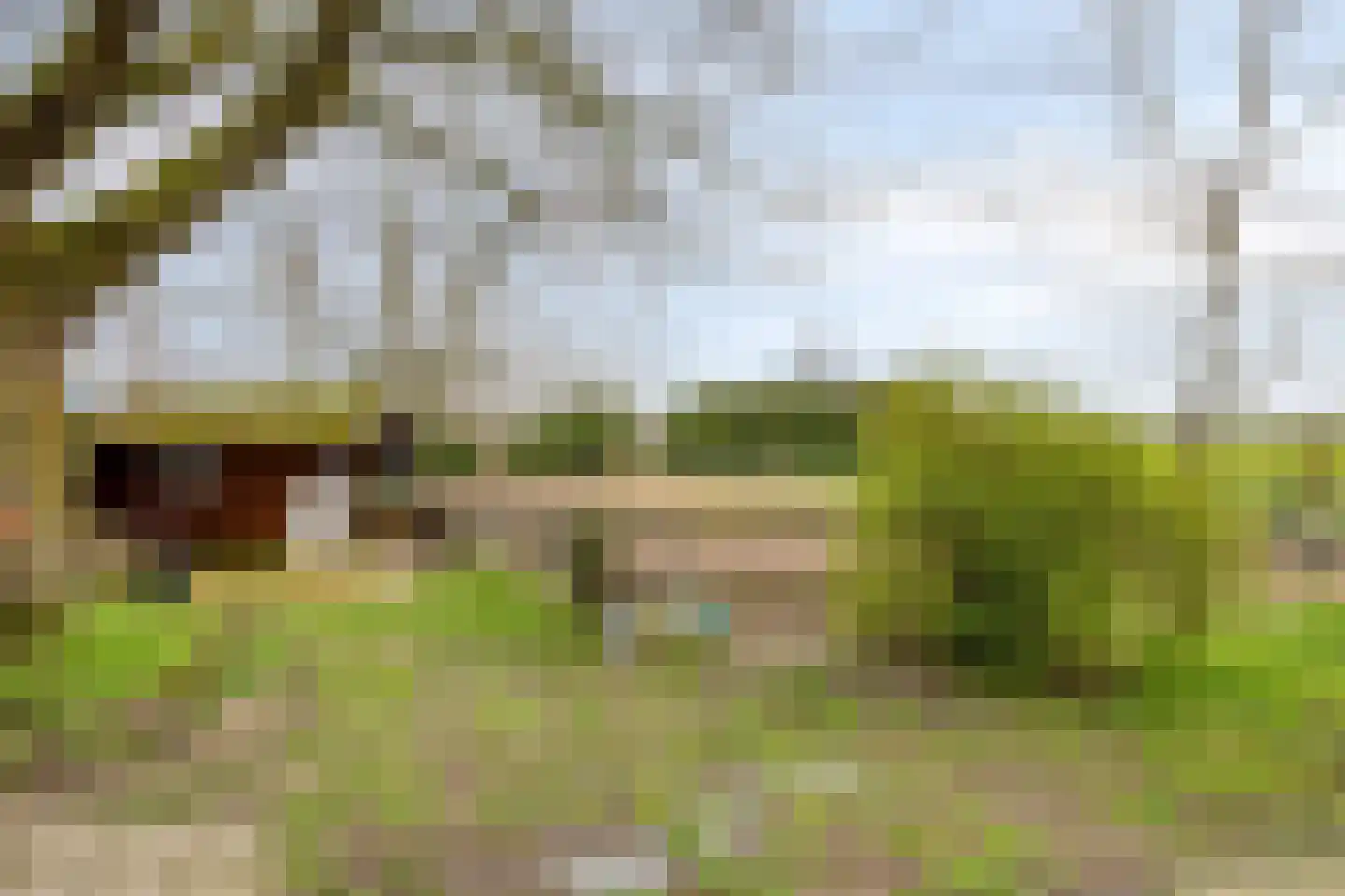Lactariaweg 30 Stevensbeek thumbnail 58