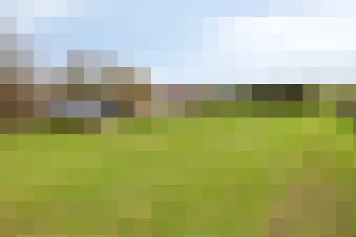 Lactariaweg 30 Stevensbeek thumbnail 59
