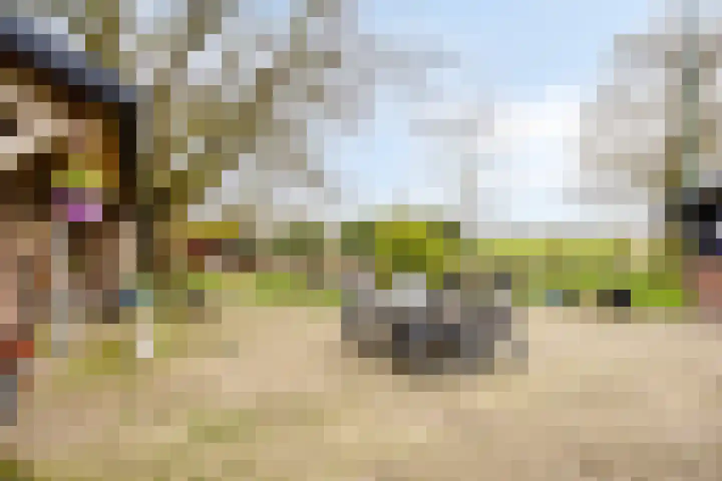 Lactariaweg 30 Stevensbeek thumbnail 60