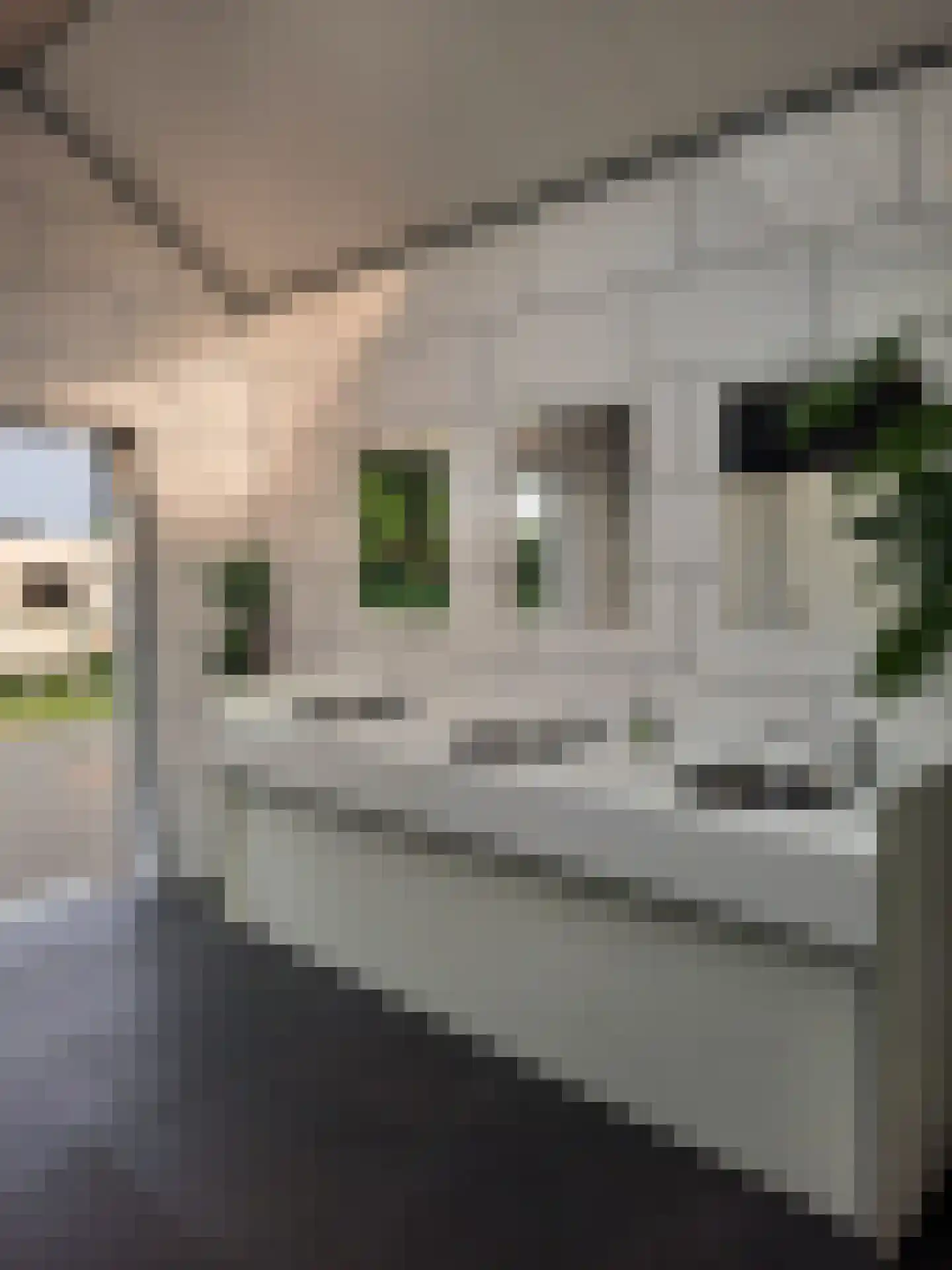 Lactariaweg 30 Stevensbeek thumbnail 60