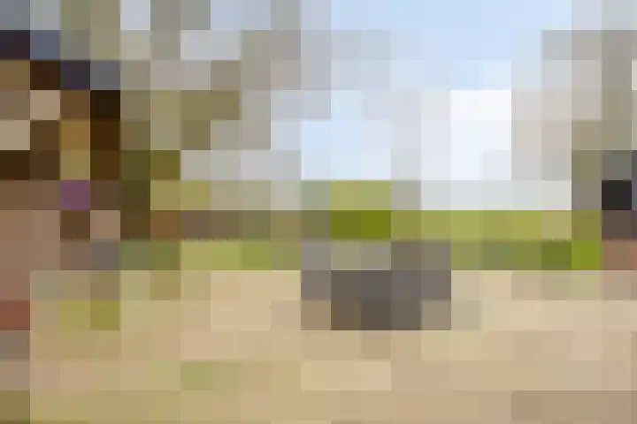 Lactariaweg 30 Stevensbeek thumbnail 60