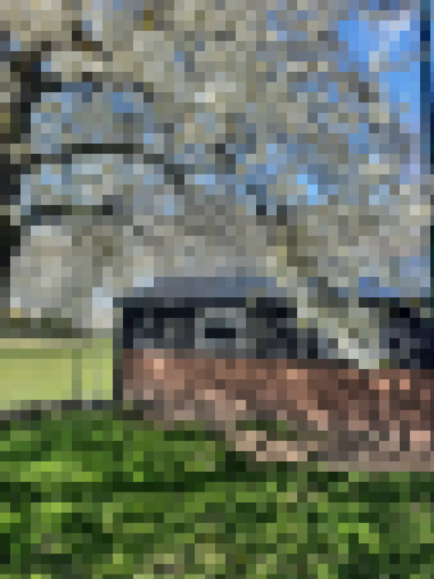 Lactariaweg 30 Stevensbeek thumbnail 65