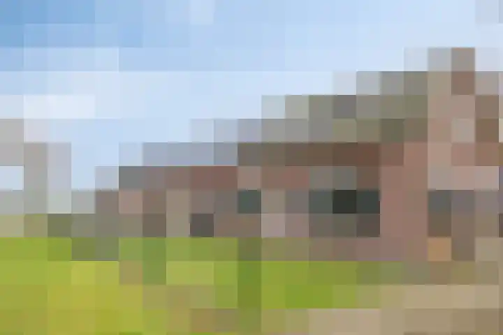 Lactariaweg 30 Stevensbeek thumbnail 8