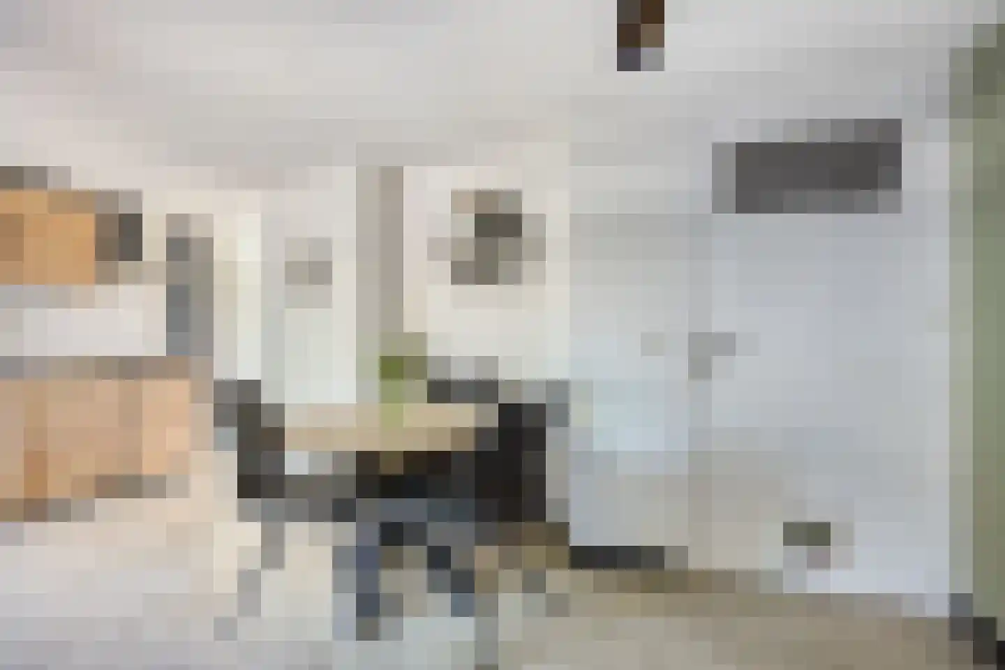 Ladderbeekstraat 101 Velsen-Noord thumbnail 11
