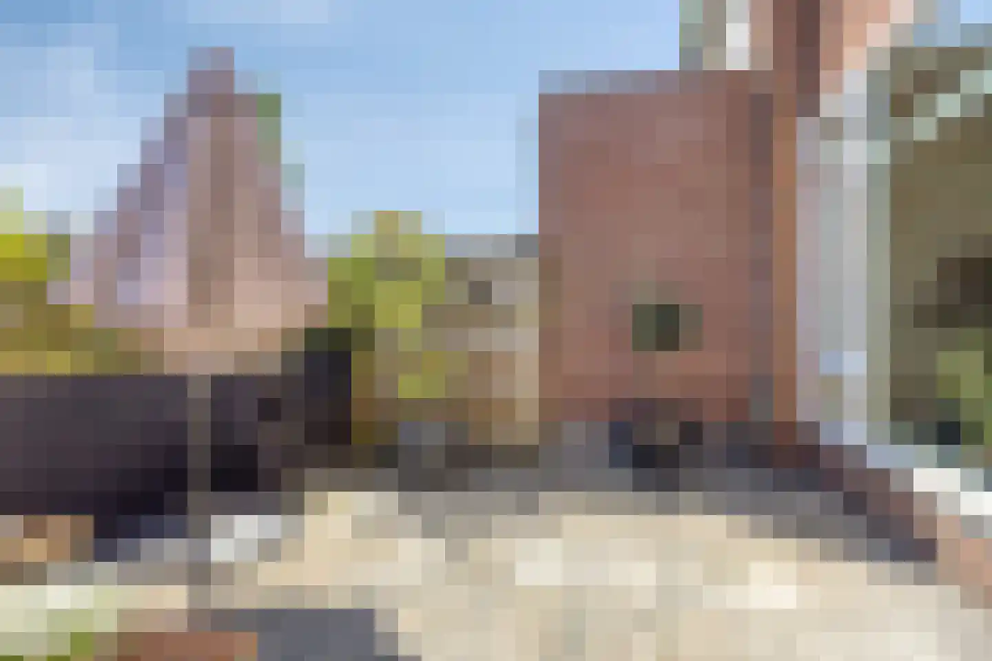 Ladderbeekstraat 101 Velsen-Noord thumbnail 35
