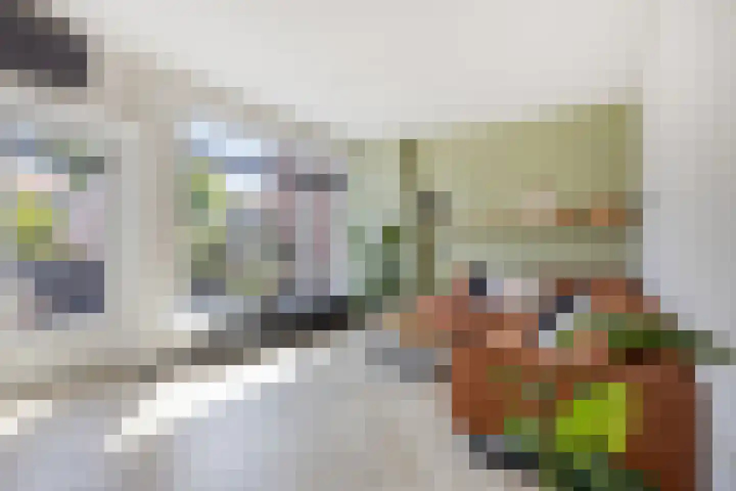 Ladderbeekstraat 101 Velsen-Noord thumbnail 4